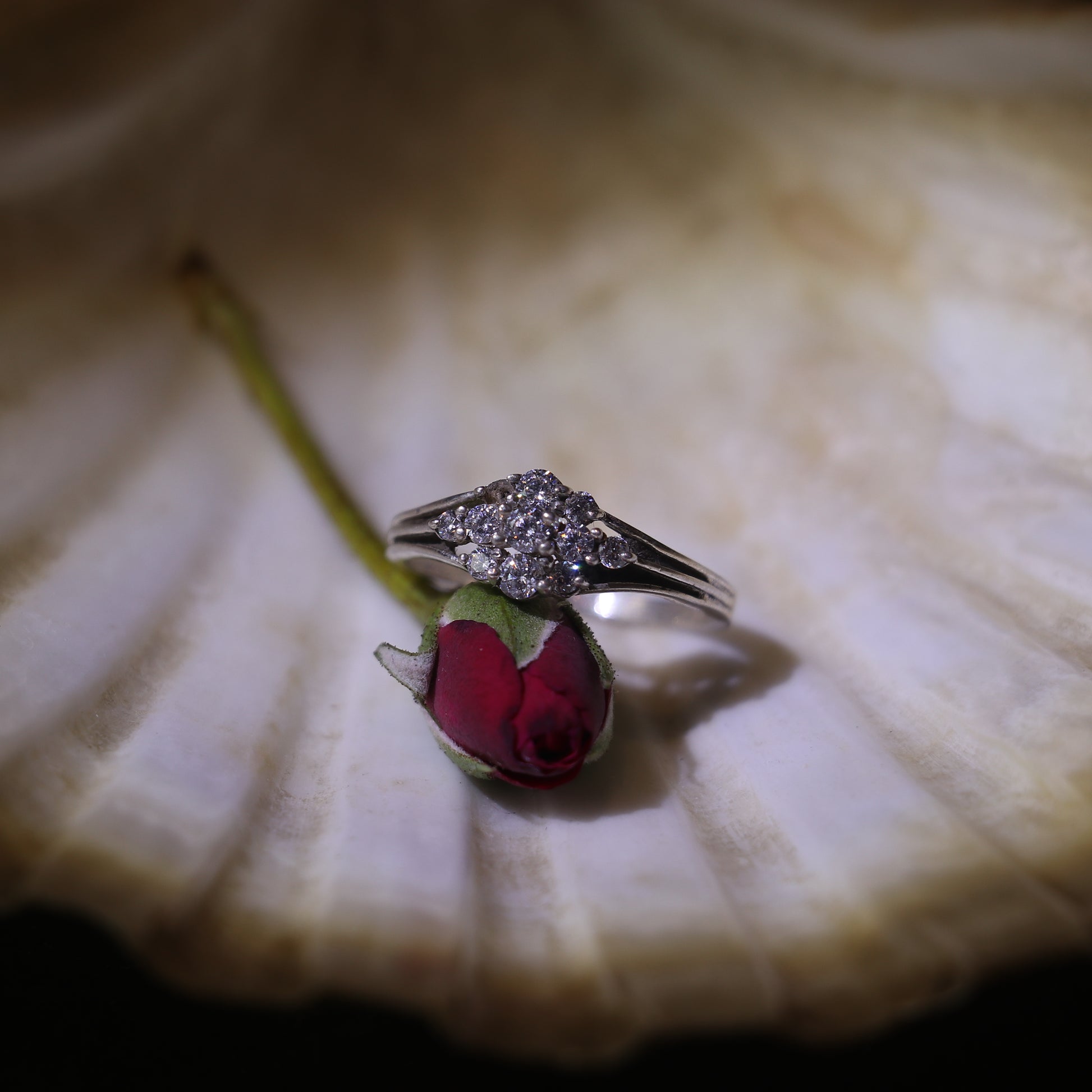 SILVER RING WITH CLUSTERED ZIRCONS