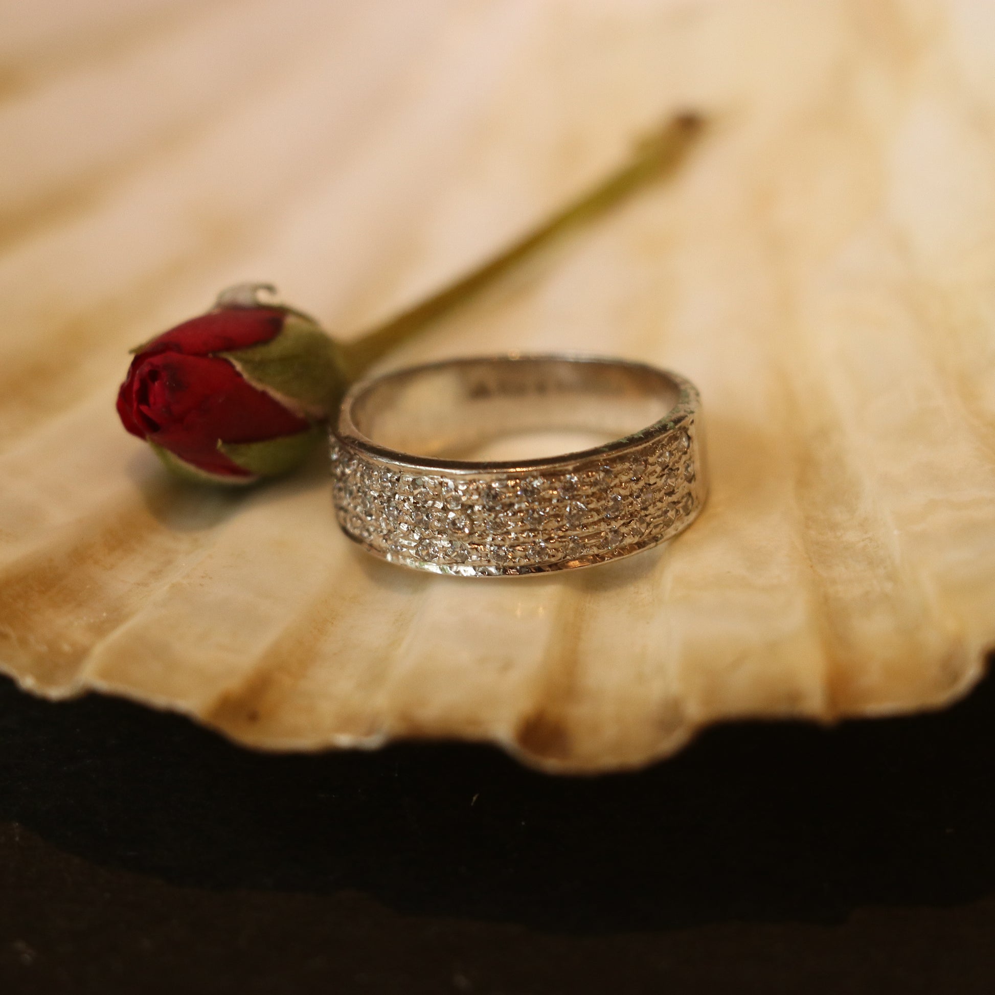 SILVER RING ENCRUSTED WITH SMALL ZIRCONS
