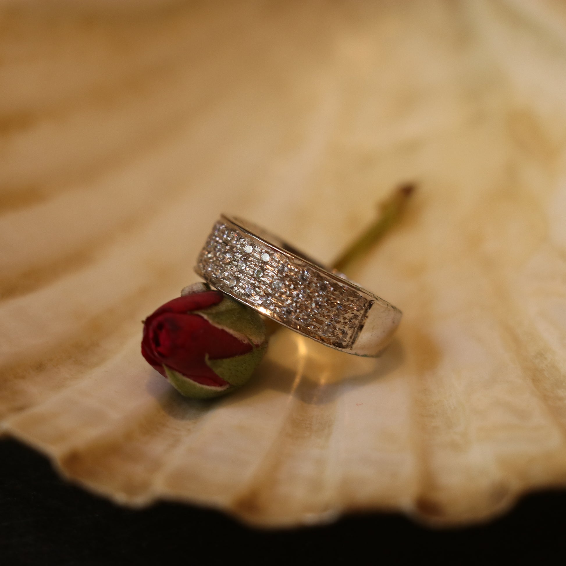 SILVER RING ENCRUSTED WITH SMALL ZIRCONS